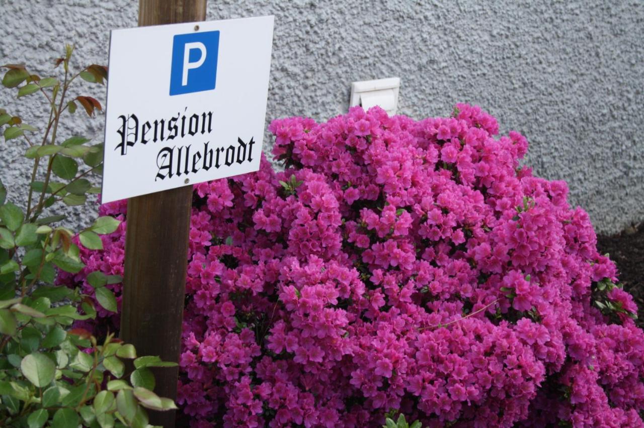 Pension / Ferienwohnung Allebrodt لينهشتات المظهر الخارجي الصورة